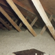 Illustration for article titled Garagelopnik - Insulation Edition